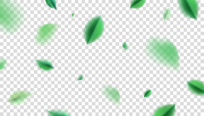 Green flying spring leaves vector nature design elements