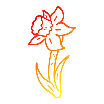 recommend clip art: warm gradient line drawing cartoon daffodil