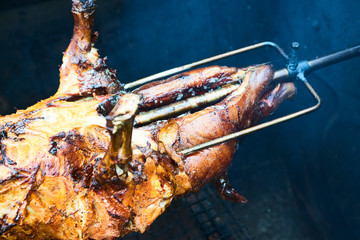 A pig grilled traditional coal and fire. The little pig is roasted whole on an open fire. Pig on...