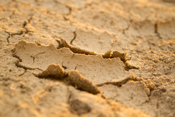 close up of cracked ground