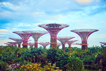 Wandcirkels aluminium Gardens by the Bay is een natuurpark in Singapore © badahos