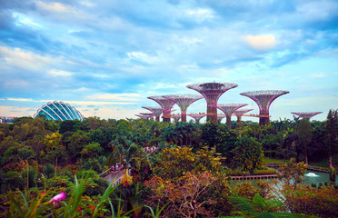 Gardens by the Bay is a nature park in Singapore
