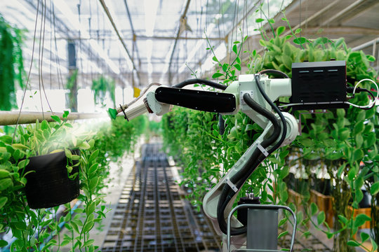 Automatic agricultural technology robot arm watering plants tree