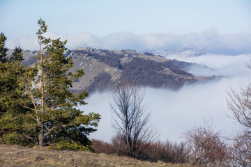 Trees and rocks. Mountain range Demerdzhi, the Republic of Crimea.