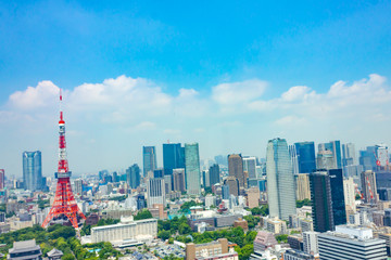 Fototapeta premium 東京タワーと街並み