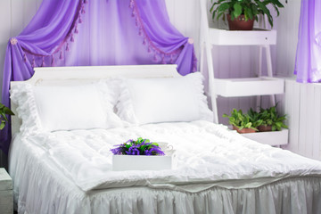 Bedroom bed canopy interior