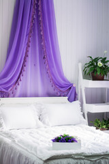 Bedroom bed canopy interior