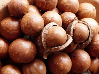 macademia nut