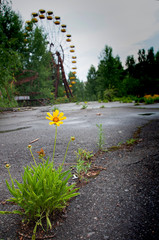 Chernobyl, Pripyat, Ukraine. Ecological catastrophy. Nuclear power plant accident
