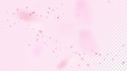 Nice Sakura Blossom Isolated Vector. Spring Blowing 3d Petals Wedding Border. Japanese Nature Flowers Wallpaper. Valentine, Mother's Day Magic Nice Sakura Blossom Isolated on Rose