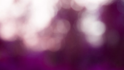 Defocused lights effect,bokeh green tree 