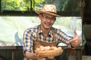 young smart farmer wear plaid long sleeve shirt brown apron are holding fresh chicken eggs into...