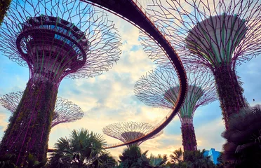 Fotobehang Gardens by the Bay  with Supertree in Singapore © badahos