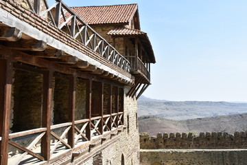 David Gareja Monastery Cliffside Tower Half-Frame View
