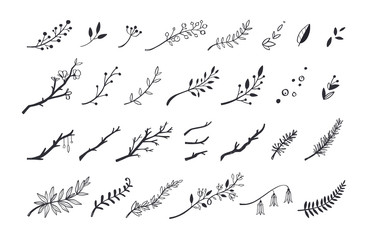 Vector hand drawn vintage floral elements. Set of forest doodle flowers and brunches for Wedding, Birthday and cards decor