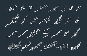 Vector hand drawn vintage floral elements. Set of forest doodle flowers and brunches for Wedding, Birthday and cards decor