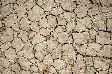Dry cracked earth. Negative effects of human activity on the environment - drought.