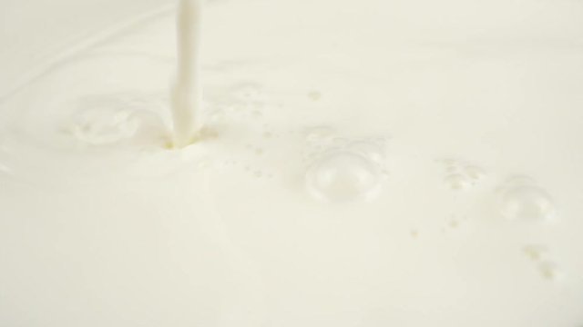 Pouring Milk closeup. Milk Splesh Slow Motion.