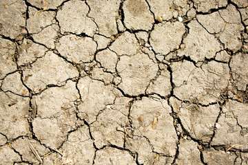 Dry cracked earth. Negative effects of human activity on the environment - drought.