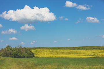 Beautiful landscape, spring nature. View  of sunny fields on rolling hills in Tuscany, Italy