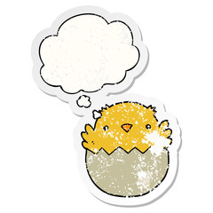 cartoon chick hatching from egg and thought bubble as a distressed worn sticker