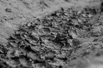 Cracked from drought land. Macro. Shooting at ground level. Monochrome Selective focus.