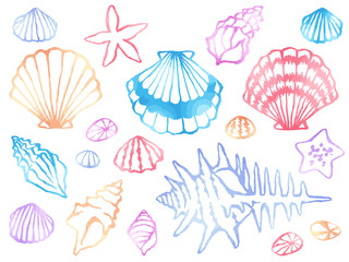 ホタテ・巻貝・ヒトデの水彩風線画イラストセット