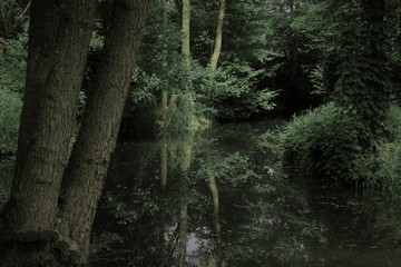 spreewald.3