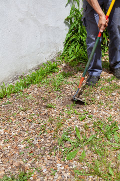 D&eacute;sherbage &eacute;cologique - jardinier passant la binette