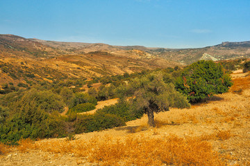Fototapeta premium Typical landscape of dry areas. Akamas Peninsula. Cyprus