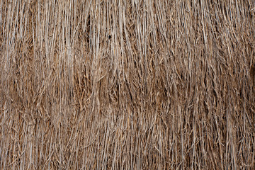 Thatched roof Straw pattern or dry grass background
