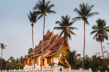 Luang Prabang Royal Palace Museum under coconut tree beautiful morning light