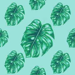 Fototapeta na wymiar Tropical leaf design featuring blue Monstera plant leaves. Seamless repeating pattern.