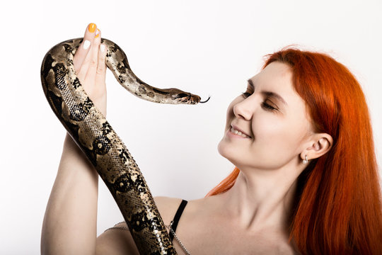 sexy redhead woman holding snake. close-up photo girl with pygmy python on a white background