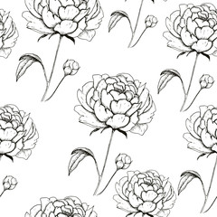 Peony backdrop. Hand drawn seamless pattern with sketch style flower peony. Monochrome vector background.