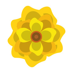 lotus blossom flowers icon cartoon