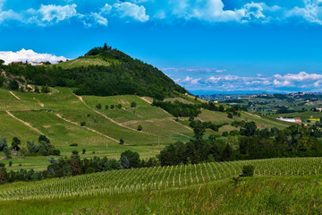 Vineyards and woods on the hillside of Bricco Lù located in the municipality of Costigliole d'Asti Piedmont Italy
