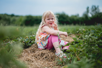 little girl eating a strawberry

