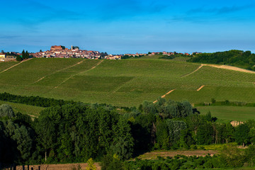Fototapeta na wymiar Vineyards and woods on the Montalbera Hillside located in the Municipality of Castagnole Monferrato Piedmont Italy