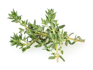 Fresh thyme isolated on white background
