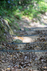 山道