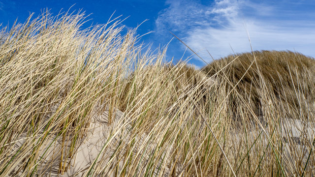 Danish Coast and Beach Line in Gr&oslash;nhoj, near L&oslash;kken, North Denmark