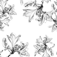 Watercolor seamless pattern of Azalea flowers.