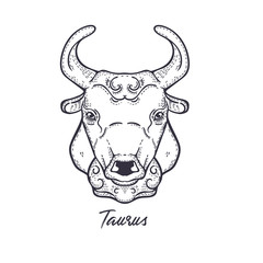 Taurus Zodiac constellation. The symbol of the astrological horoscope.