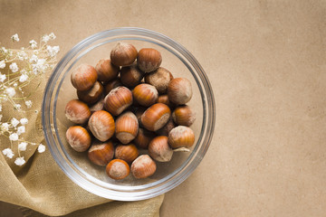 Obraz premium Hazelnut