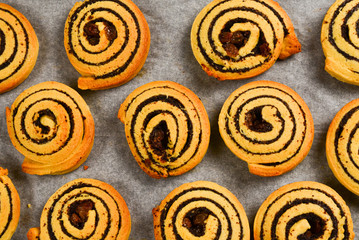Fototapeta premium Baked cookies with raisins and poppy seeds on a trail.