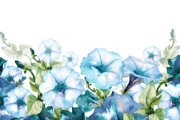 Watercolor background, frame with space for text of Petunia flowers. - 275112493