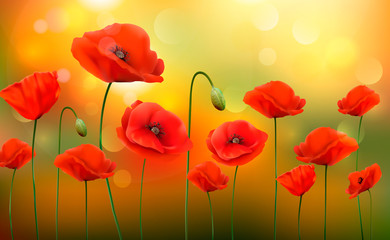 Summer sunny landscape background with a red poppies. Vector.