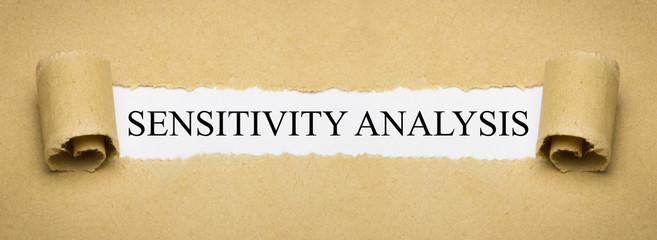 Sensitivity Analysis