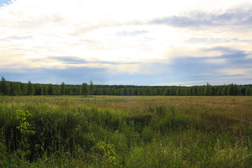 Green field and forest in summer, sunlight penetrates through the clouds